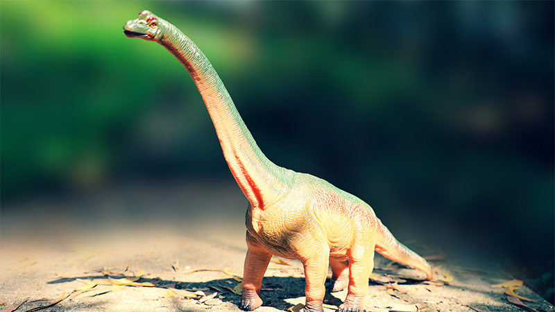 Dinosaur Toy